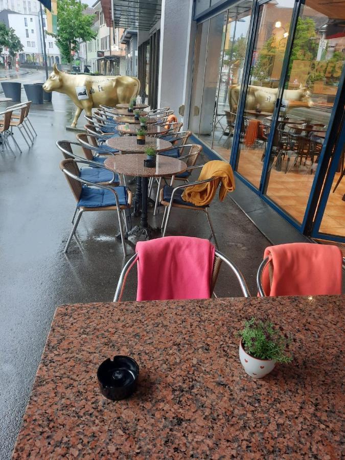 Zak Neuhausen Pansiyon Neuhausen Am Rheinfall Dış mekan fotoğraf